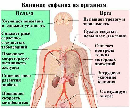 Кава без кофеїну: користь і шкода, марки, чи можна вагітним, відгуки