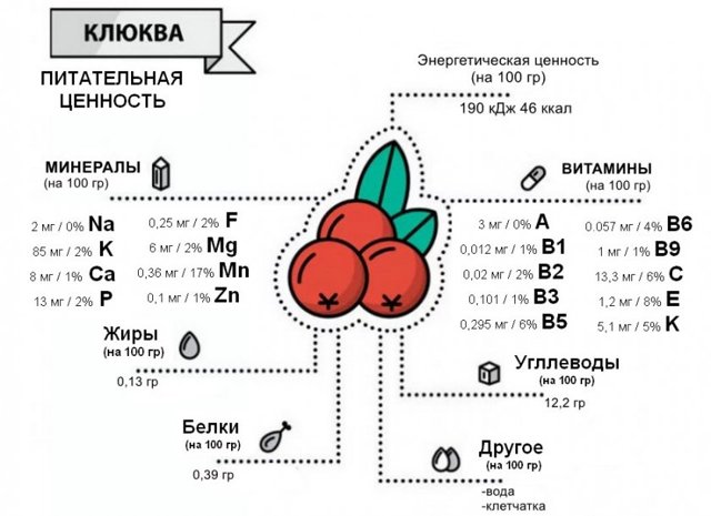 Журавлина: корисні властивості та протипоказання