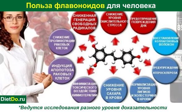 Комплекс флавоноїдів: що таке, для чого потрібні, де містяться, відгуки