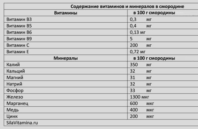 Біла смородина: користь і шкода для здоров'я, властивості, вітаміни