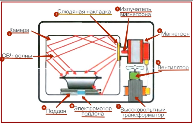 Шкода мікрохвильовки для здоров'я: міф чи реальність