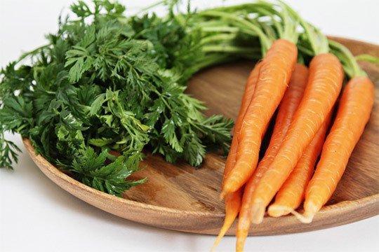 Морквяна бадилля: користь і шкода, лікувальні властивості, протипоказання, відгуки