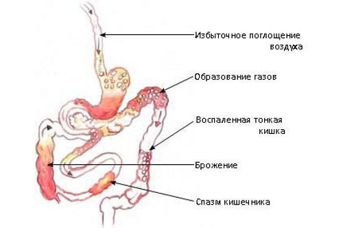 Бурий (коричневий) рис: користь і шкода, калорійність, як приготувати, відгуки