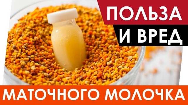 Маточне молочко: корисні і лікувальні властивості, як приймати, відгуки