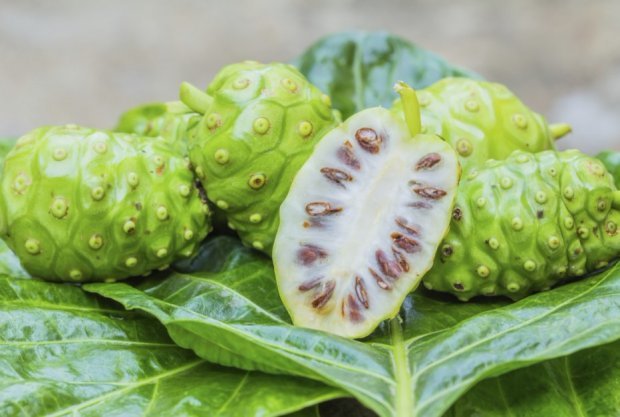 Сік Ноні (noni juice): корисні властивості, склад, як приймати дорослим, при онкології