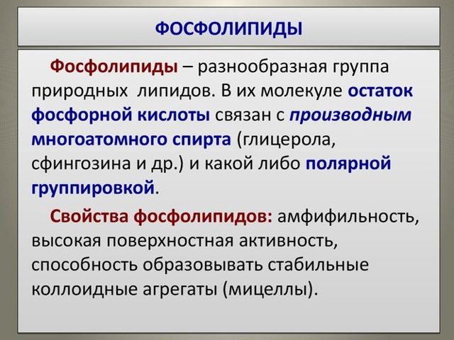 Лецитин: користь і шкода для організму, показання та інструкція із застосування