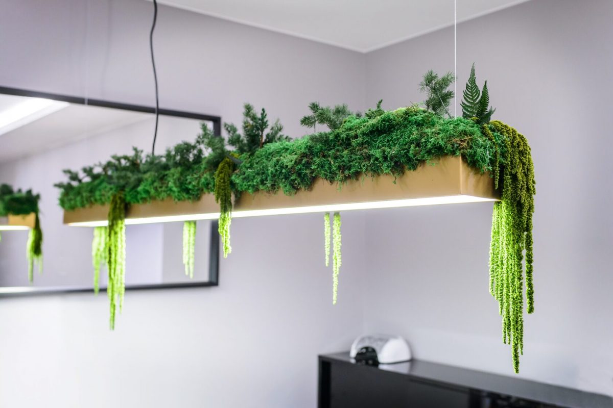 штучні рослини для офісу мох