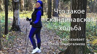 Скандинавська ходьба з палицями: користь і шкода, техніка для літніх, відео, відгуки