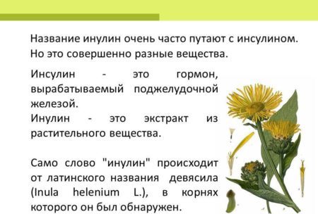 Сироп топінамбура: користь і шкода, склад, глікемічний індекс, відгуки