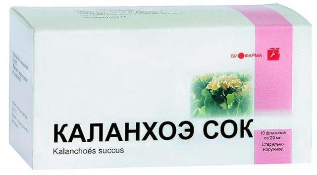 Каланхое: користь і шкода, лікувальні властивості, застосування, відгуки