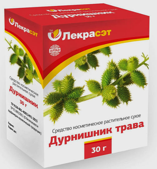 Нетреба звичайна: лікувальні властивості, як виглядає, де росте, застосування, фото