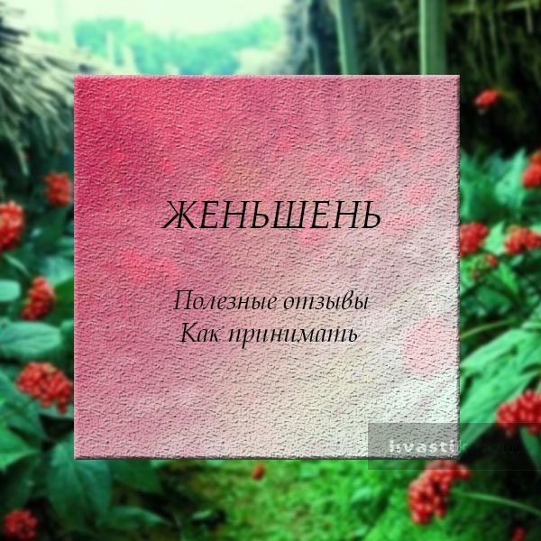 Женьшень: корисні властивості та протипоказання для чоловіків і жінок, відгуки