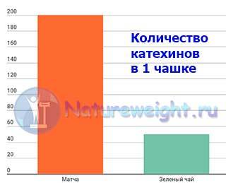 Чай матчу: користь і шкода, відгуки, як заварювати