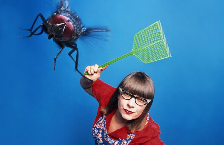 Как избавиться от насекомых в квартире