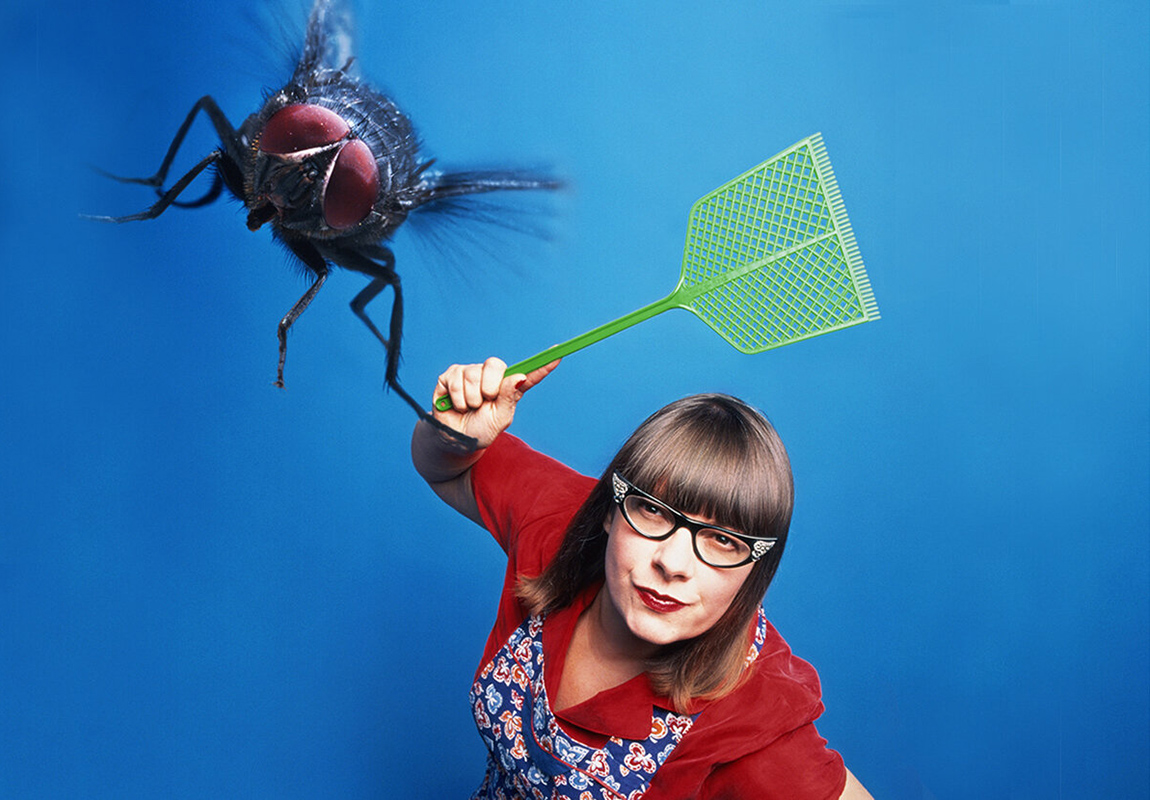 Как избавиться от насекомых в квартире