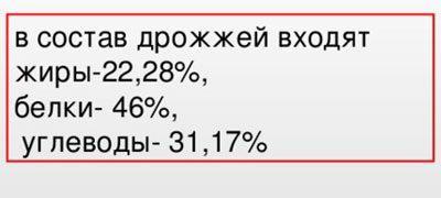 Дріжджі: користь і шкода для організму людини, склад, види, застосування