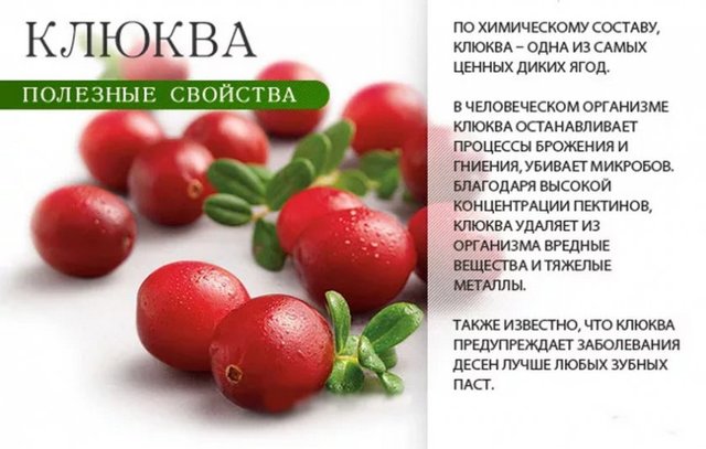 Журавлина: корисні властивості та протипоказання