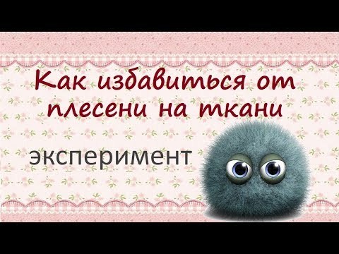 Як відіпрати цвіль з тканини: чим вивести плями на одязі, взутті