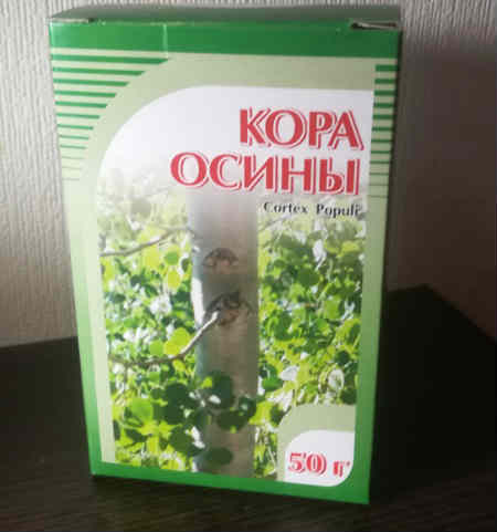 Кора осики: користь і шкода, лікувальні властивості, протипоказання, відгуки