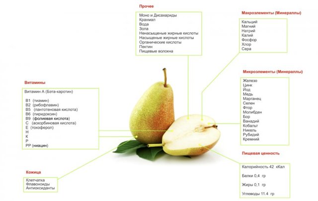 Користь і шкода груші для організму, калорійність