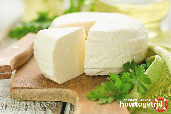 Адигейський сир: користь, рецепт і калорійність