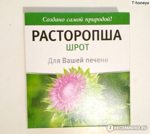 Шрот розторопші: користь і шкода, як приймати, інструкція, відгуки