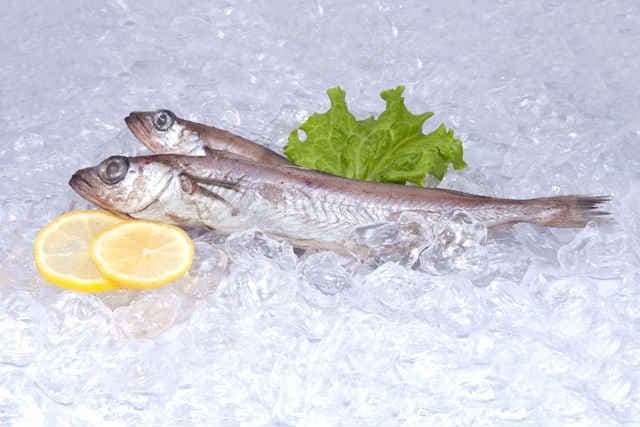 Риба путасу: користь і шкода, фото, як приготувати