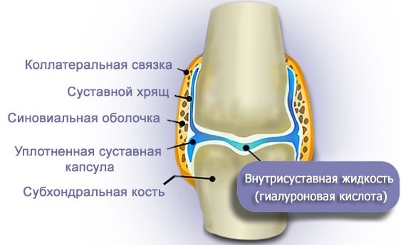 Гіалуронова кислота Евалар: відгуки лікарів і покупців, інструкція із застосування