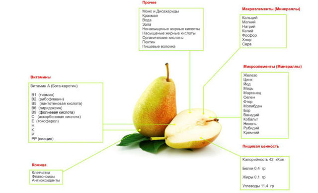 Користь і шкода груші для організму, калорійність