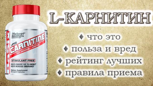 l-карнітин: для чого потрібен чоловікові, користь і шкода, відгуки