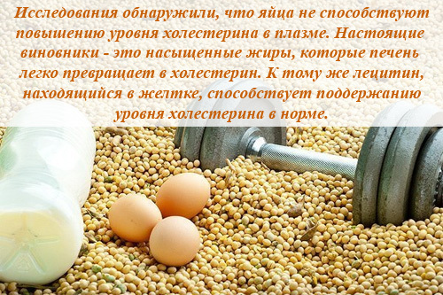 Користь і шкода курячих яєць, склад, калорійність, зберігання, приготування