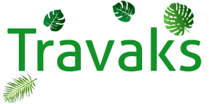 Чай з м'ятою: користь і шкода, рецепти, як заварювати, відгуки