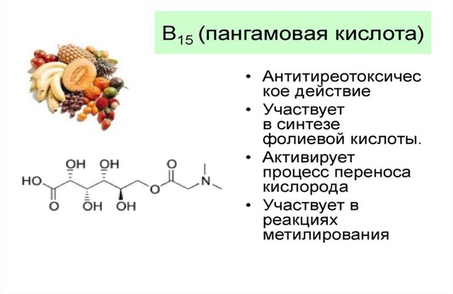 Вітамін В15 (пангамовая кислота): для чого потрібен організму, застосування