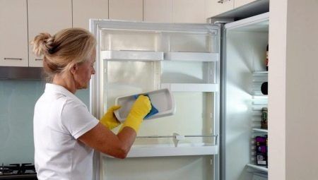 Як вивести тарганів в домашніх умовах: з квартири, будинки, холодильника