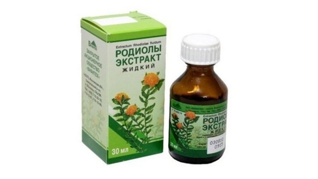 Золотий корінь (Родіола рожева): лікувальні властивості настойки, протипоказання, відгуки