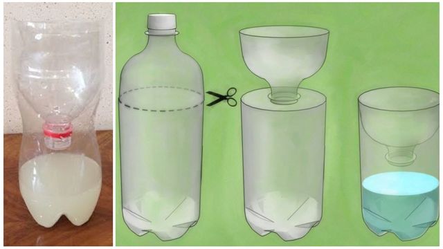 Пастка для мух: з пластикової пляшки, електрична, австралійська, липка