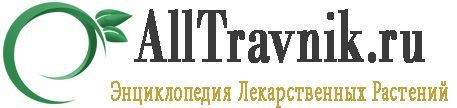 Фейхоа при цукровому діабеті 2 типу: чи можна їсти, корисні властивості і протипоказання