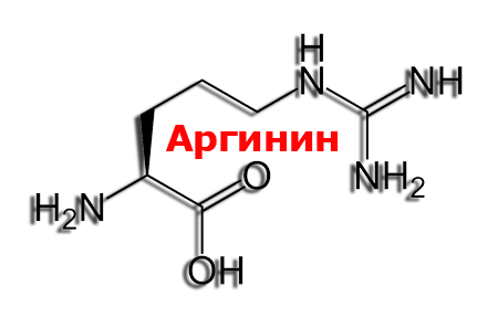 Аргінін: користь і шкода, для чого потрібен, інструкція із застосування, відгуки