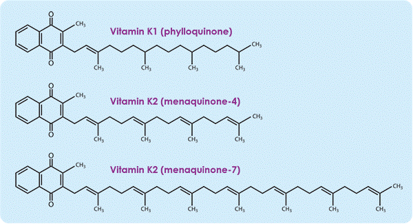 Вітамін К2: в яких продуктах міститься, як приймати, користь і шкода