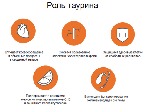 Таурин: користь і шкода, що це за речовина, в яких продуктах міститься