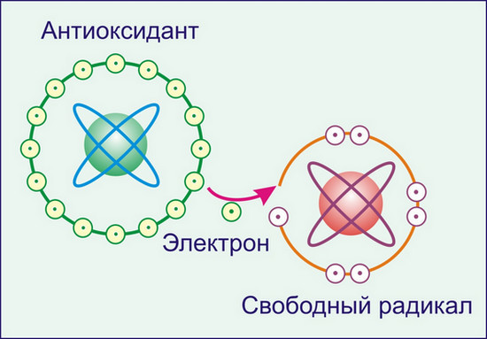 Л-карнітину тартрат: користь, як приймати для схуднення, відгуки