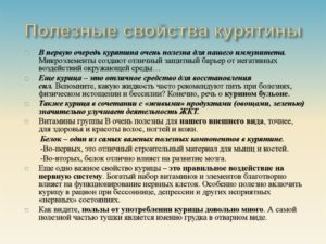 Користь і шкода курки, калорійність, приготування, як вибирати і зберігати