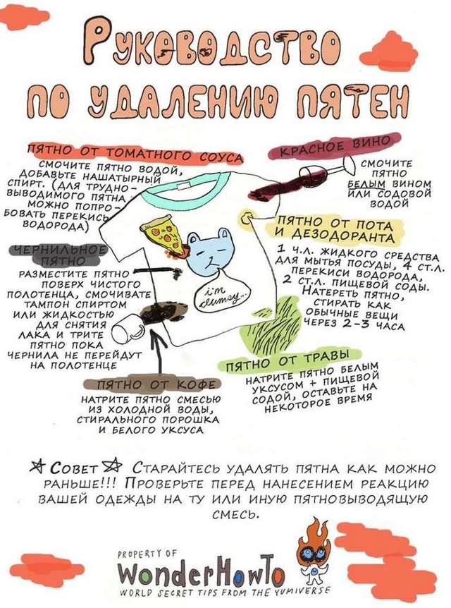 Як вивести пляму від чаю: з кольорового одягу, дивана, килима, скатертини