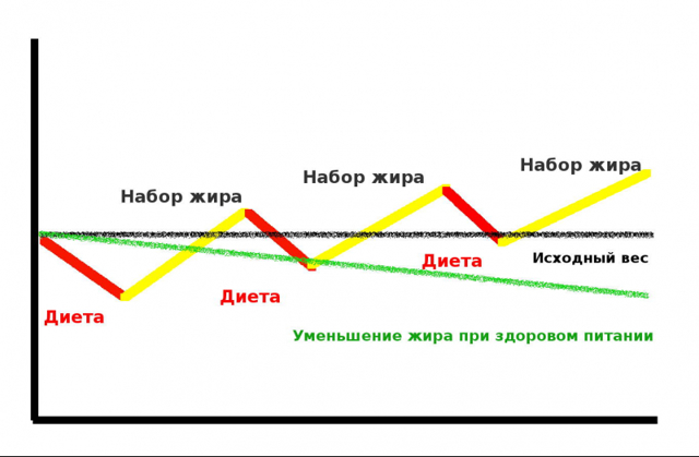 Соя: користь і шкода, склад, калорійність, в яких продуктах міститься