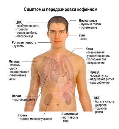 Кава: користь і шкода для здоров'я, склад, види, як варити