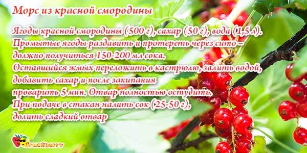 Червона смородина: користь і шкода для здоров'я, властивості, калорійність