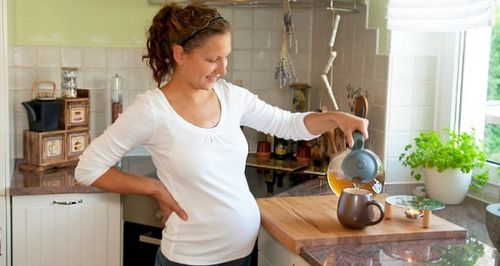 Липовий чай: користь і шкода, як заварити, чи можна пити при вагітності