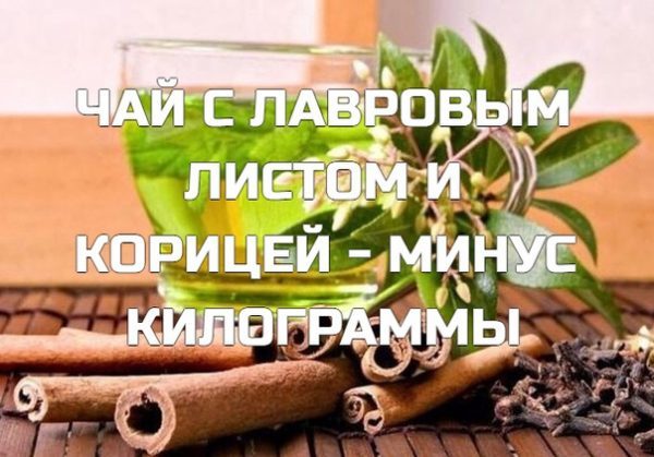 Кориця: користь і шкода для здоров'я, рецепти для схуднення, відгуки