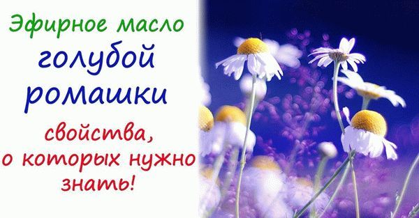 Ефірна олія кипариса: властивості, застосування від купероза, для особи, волосся, відгуки