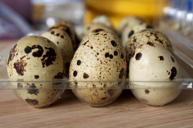 Як правильно приймати шкаралупу перепелиних яєць?